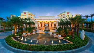 PATA-and-Sanya-to-Host-Global-Experience-Ambassadors-to-Envision-a-Future-Coastline-xDgiSA.jpg