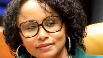 Comoros-Islands-Appoints-Faouzia-Vitry-to-Head-a-Special-Purpose-Vehicle-1dwRPe.jpg