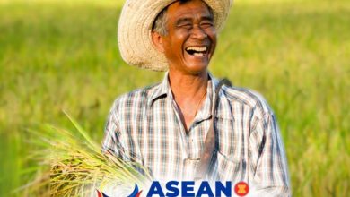 DSWD-NCSC-present-proposed-ASEAN-Framework-on-Unlocking-Silver-Economy-RwQugb.jpg