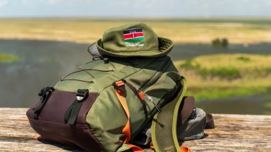 Kenya-Boosts-Africas-Tourism-Growth-Emerging-as-a-Leading-Sustainable-Tourism-Powerhouse-gyXtPf.jpg