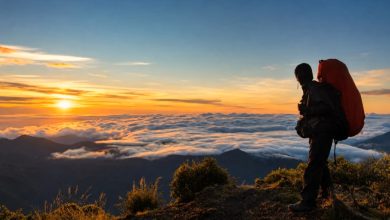 Timor-Leste-Launches-New-Tourism-Destination-Website-IGzZNy.jpg