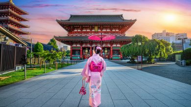 Tokyo-Japan-ufdb3s.jpg