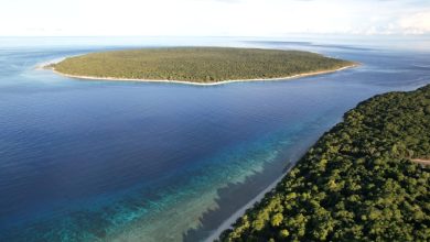 Tourism-Ministry-Welcomes-UNESCO-Recognition-of-Timor-Lestes-First-Biosphere-Reserve-8aWWY8.jpg